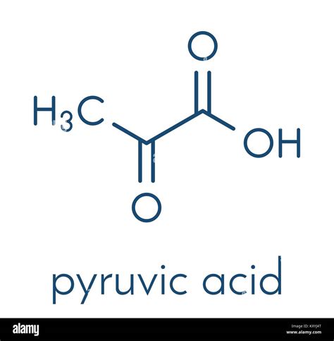 Pyruvic acid (pyruvate) molecule. Important intermediate in a number of ...