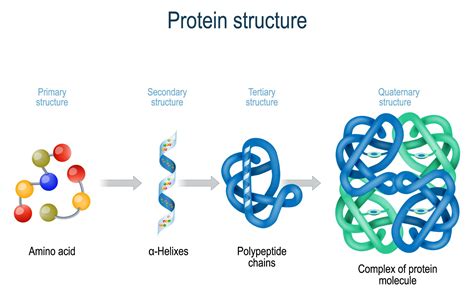 Complete Protein or Complete Myth?