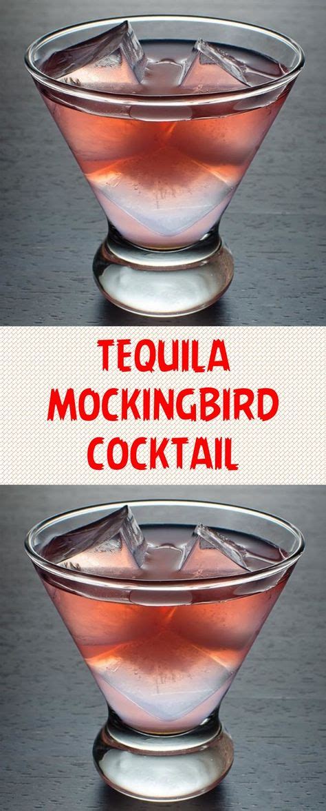 TEQUILA MOCKINGBIRD COCKTAIL | Fresh drink recipes, Tequila cocktails ...