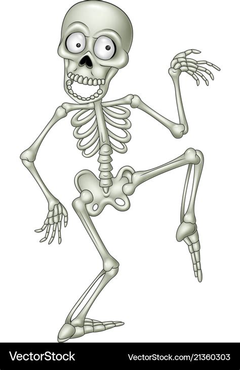 Cartoon Skeleton Pictures ~ Cute Skeleton Cartoon Royalty Free Vector ...