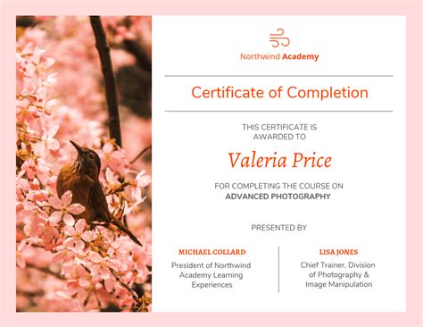 Certificado de curso de fotografia - Venngage