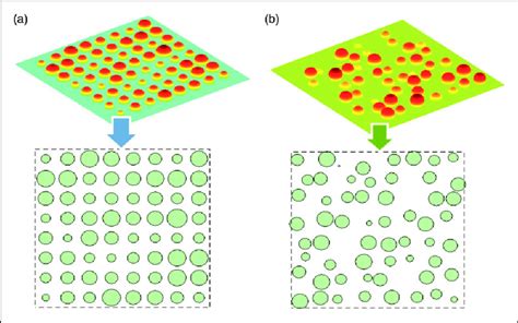 A cutting slice and transversal circles (a) before shaking and (b ...