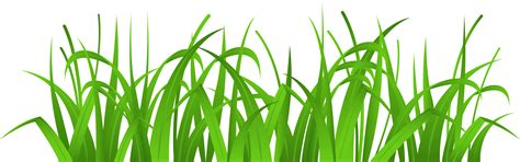 Cartoon Grass Png