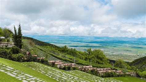 An Overview of the Georgian Wine Sector - Georgia Today