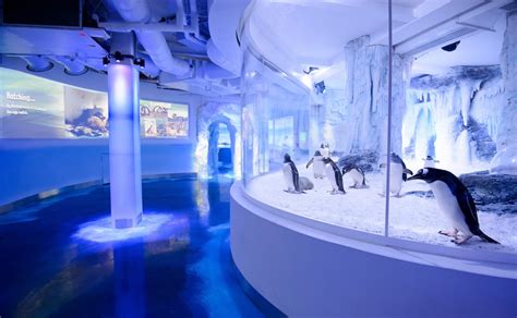 Top 10 Things to Do in London 6 is a must do in London - Aquarium ...