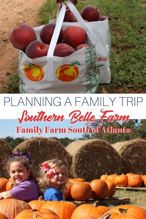 Southern Belle Farm: Fun Family-Owned Farm South Of Atlanta (VIDEO)