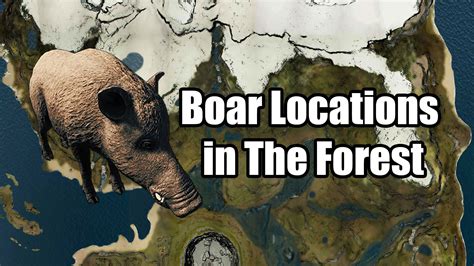 Where to Find Boar Locations in The Forest