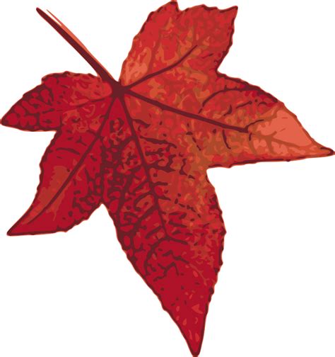 Leaf Pile Clipart | Free download on ClipArtMag