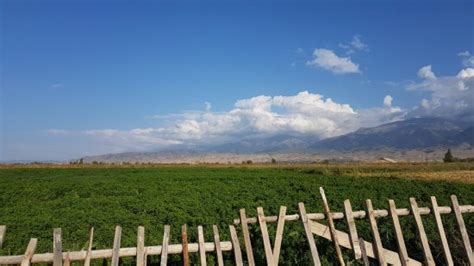 Guest House Tamga - Reviews (Kyrgyzstan) - TripAdvisor