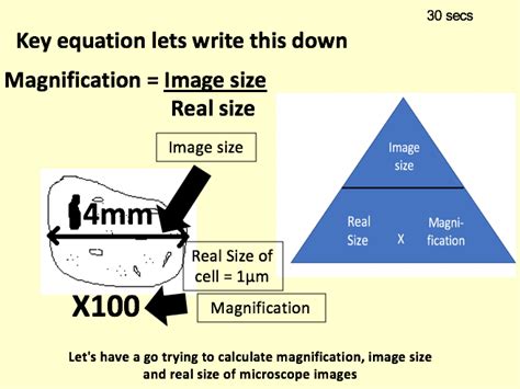 AQA Magnification Calculations | Teaching Resources