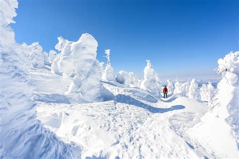 Snow monster festival at Mount Zao PeakExperienceJapan