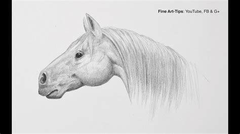 Horse Head Drawing Step By Step | Gallery Demaxde