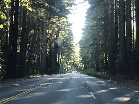 Del Norte Coast Redwoods State Park (California) - All You Need to Know ...