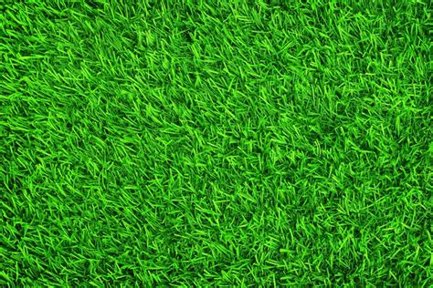 green lawn grass #grass #background #lawn #green #summer #grass #green ...