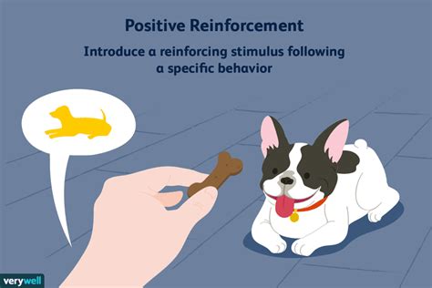 Positive Reinforcement and Operant Conditioning