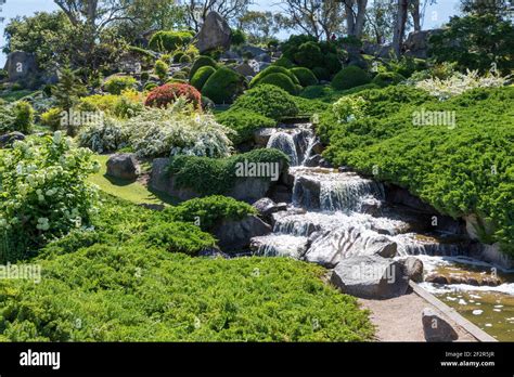 Cowra Japanese Garden, NSW, Australia Stock Photo - Alamy