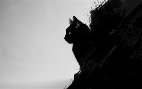 cat, Black Cats, Animals, Green Eyes, Artwork, Digital Art, Black, Gray ...