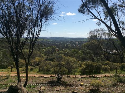 THE 10 BEST Things to Do in Toodyay - Tripadvisor