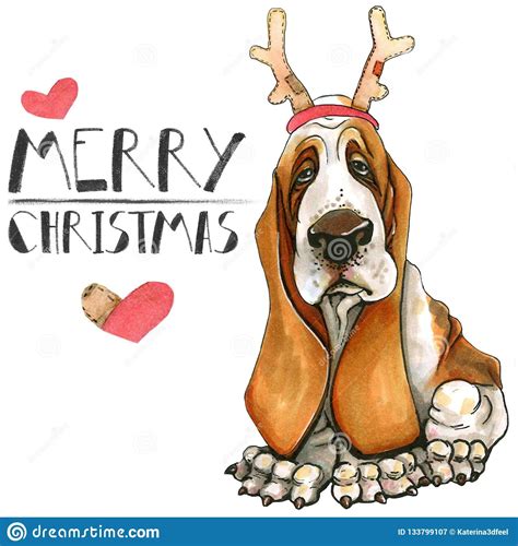 Christmas Cards Uk, Christmas Booth, Christmas Puppy, Basset Hound ...