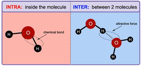 Intermolecular Forces - Chemistry Video | Clutch Prep