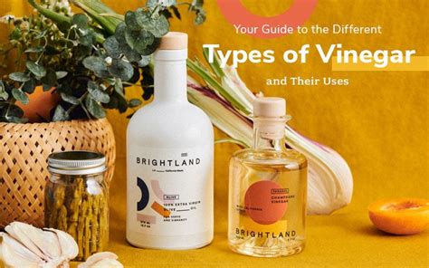 Your Guide to the Different Types of Vinegar and Their Uses | Types of ...