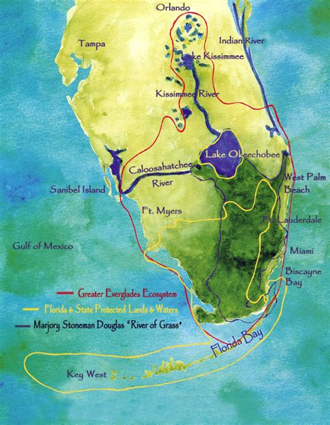 The Florida Everglades | Boca Raton Airboat Rides