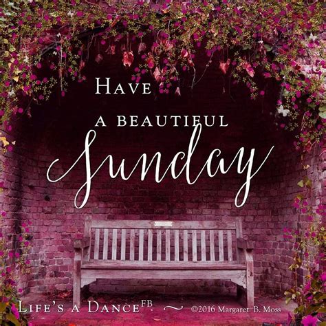 Happy Sunday! Enjoy your day of rest. | Have a beautiful sunday, Sunday ...