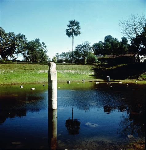 Ruinas del Palacio de Pataliputra de Indian School