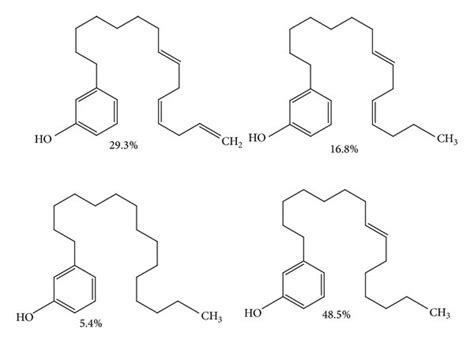 Structure and composition of cardanol. | Download Scientific Diagram