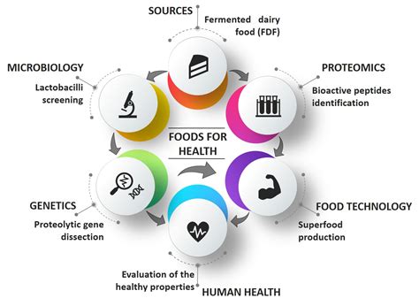 Fermentation | Free Full-Text | Bioprospecting for Bioactive Peptide ...