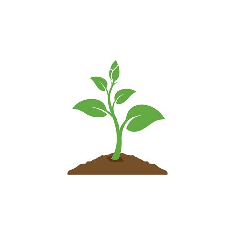 plant icon vector. leaf growing design. Seed and seeding vector icon ...