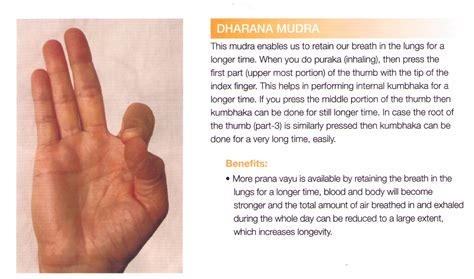 Gyan Dharana Mudra | Mudras, Yoga asanas, Meditation mantras