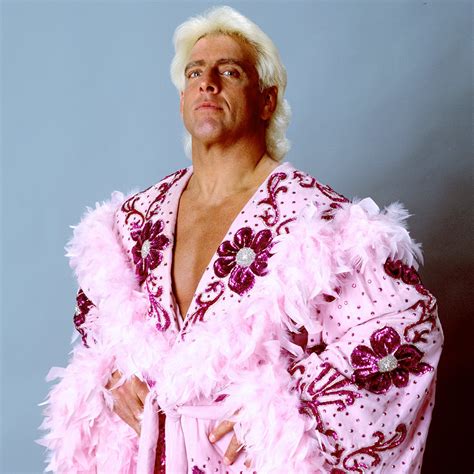 CrazyTights | Ric Flair (robes) - Pink