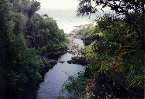 Seven Pools...Road to Hana - Maui | Hana maui, Road to hana, Big island ...