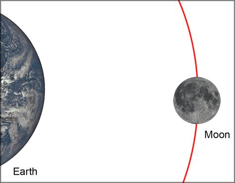 The gravitational forces the moon and sun exert are responsible for ...