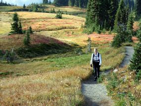 Day Hiking at Mount Rainier - Mount Rainier National Park (U.S ...