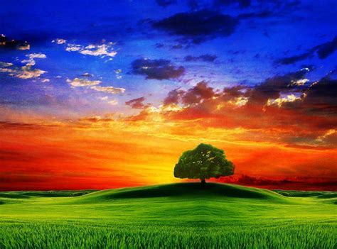 Colorful Nature Desktop Backgrounds