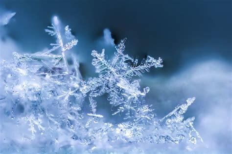 13 Perfect Snowflakes Captured in Photos | Snowflakes, Snowflake photos ...