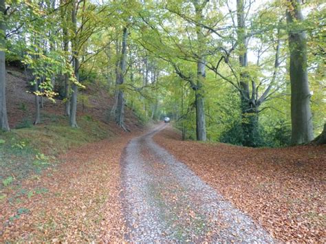 Mulgrave Estate Unveils Plans To Plant Over 300,000 Trees