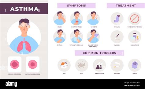 Asthma disease infographic with symptoms, treatment and common triggers ...