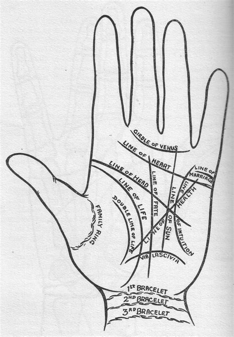 Serena's Guide to Palmistry. Hand Reading. Hand Analysis. | Palmistry ...