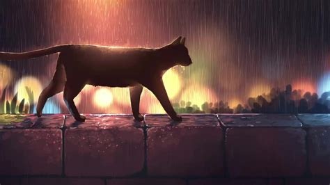 Black Cat Walking In The Rain Live Wallpaper - WallpaperWaifu