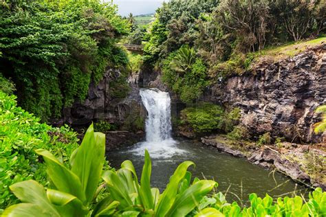 Waterfall on Hawaii | Stock image | Colourbox