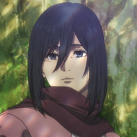 Mikasa Ackerman (Anime) | Attack on Titan Wiki | Fandom