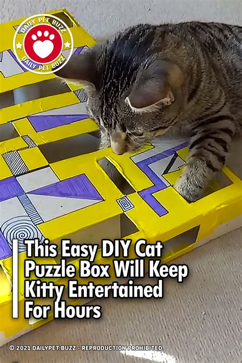 This Easy DIY Cat Puzzle Box Will Keep Kitty Entertained For Hours ...