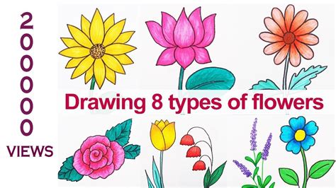 Simple 5 Petal Flower Drawing | Best Flower Site