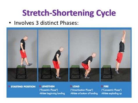 During Isometric Contraction the Energy Used Appears as Movement ...