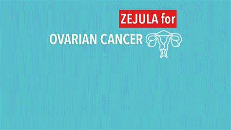 Zejula (Niraparib) Improves Progression-Free Survival in Ovarian Cancer ...