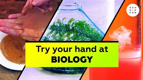 5 biology experiments you can do at home - YouTube