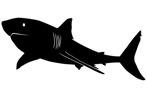 Great White Shark Silhouette Graphic by iDrawSilhouettes · Creative Fabrica